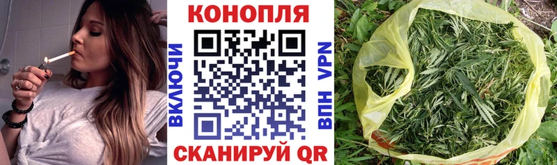 Бошки Шишки гибрид  Арамиль 